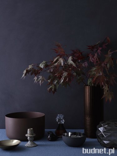 BoConcept